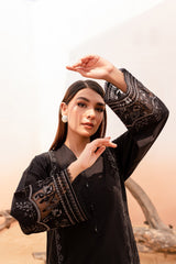 Winter - Best Selling - Black Rose - 2Pc Embroidered Dress