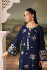 Winter - Dazzel Danim - 2Pc Embroidered Dress