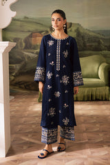 Winter - Dazzel Danim - 2Pc Embroidered Dress