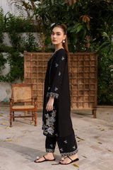 Winter - Nashwa - 2Pc Embroidered Dress