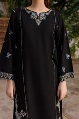 Winter - Nashwa - 2Pc Embroidered Dress