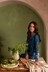 Winter - Sirius - 2Pc Embroidered Dress