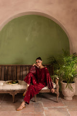 Winter - Stark - 2Pc Embroidered Dress