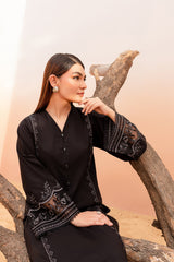 Winter - Best Selling - Black Rose - 2Pc Embroidered Dress
