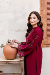 Winter - Cosmo - 2Pc Embroidered Dress