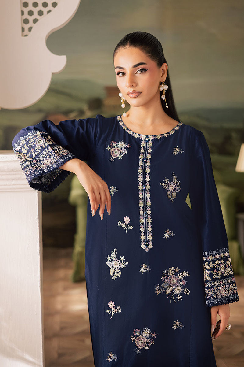 Winter - Dazzel Danim - 2Pc Embroidered Dress