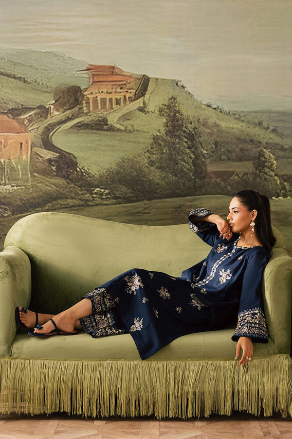 Winter - Dazzel Danim - 2Pc Embroidered Dress