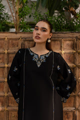 Winter - Nashwa - 2Pc Embroidered Dress