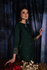 Winter - Olive - 2Pc Embroidered Dress
