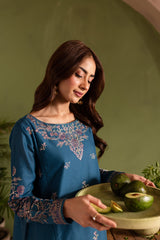 Winter - Sirius - 2Pc Embroidered Dress