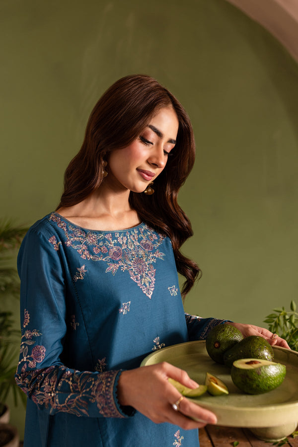 Winter - Sirius - 2Pc Embroidered Dress