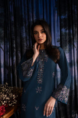 Winter - Zoe - 2Pc Embroidered Dress