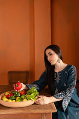 Winter - Blue Gem - 2Pc Embroidered Dress